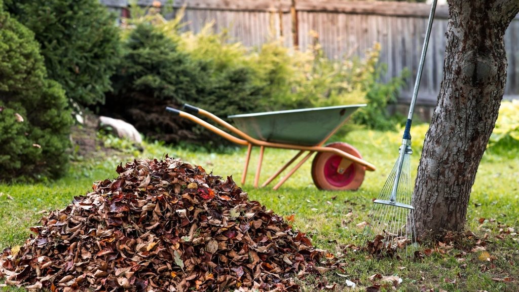 Autumn Leaves: Four Ways to Put a Free Harvest to Work - Happy Valley Seeds