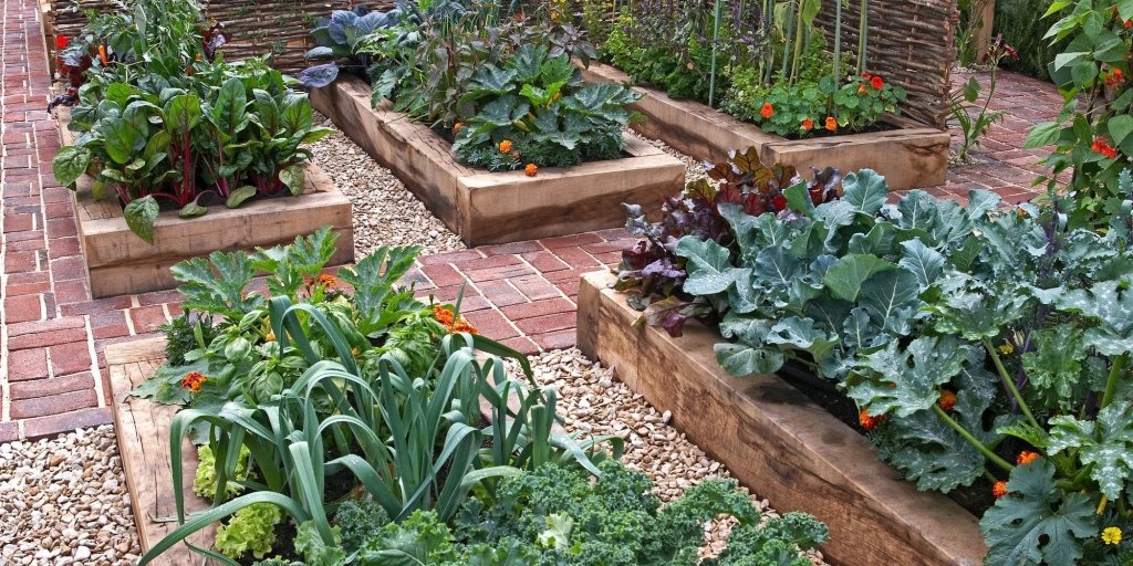Companion Planting for a Sustainable Home Garden - Happy Valley Seeds