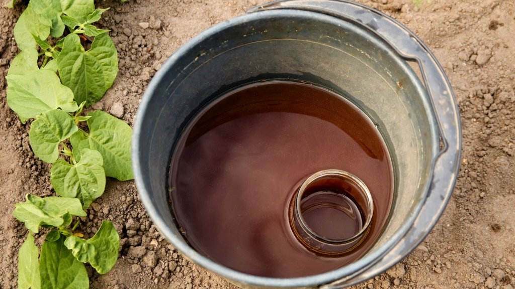 Compost Tea and Weed Tea: A Thrifty Liquid Feed, Made Safely - Happy Valley Seeds
