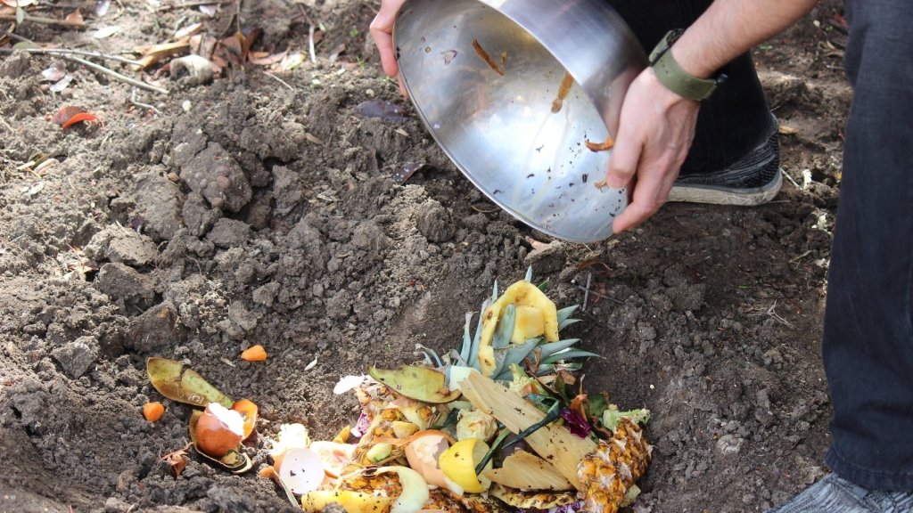 Dig and Drop Compost Holes: Composting Without a Heap - Happy Valley Seeds