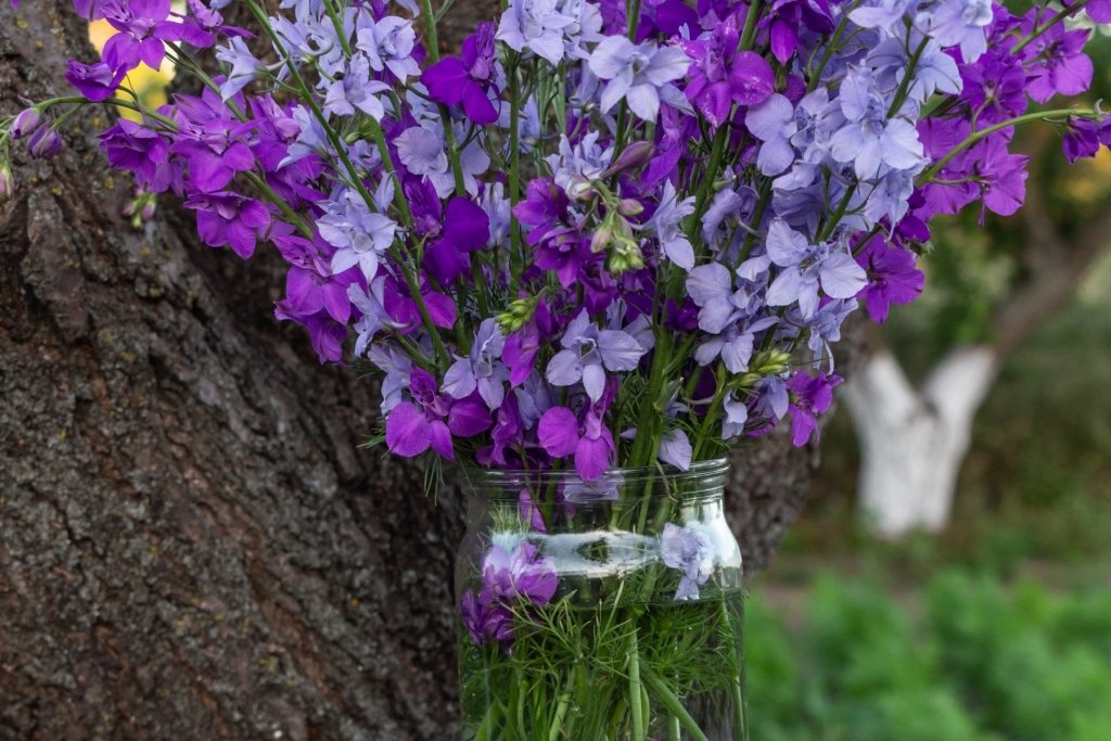 Eight Easy Cut Flowers to Grow From Seed in Australia, For Armfuls on a Budget - Happy Valley Seeds