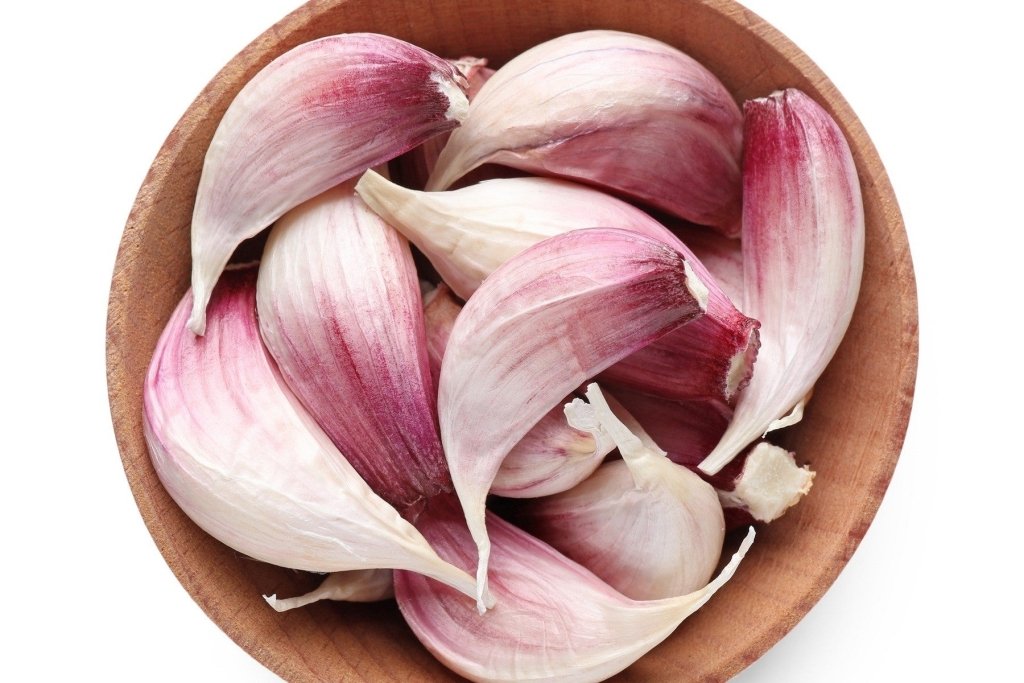 Fridge Trick: How to Grow Purple Garlic in Warm Climates - Happy Valley Seeds