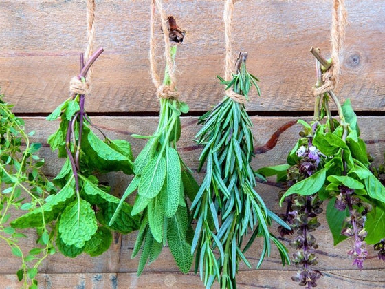Harvesting, Drying and Storing Herbs: Making the Summer Flush Last All Year