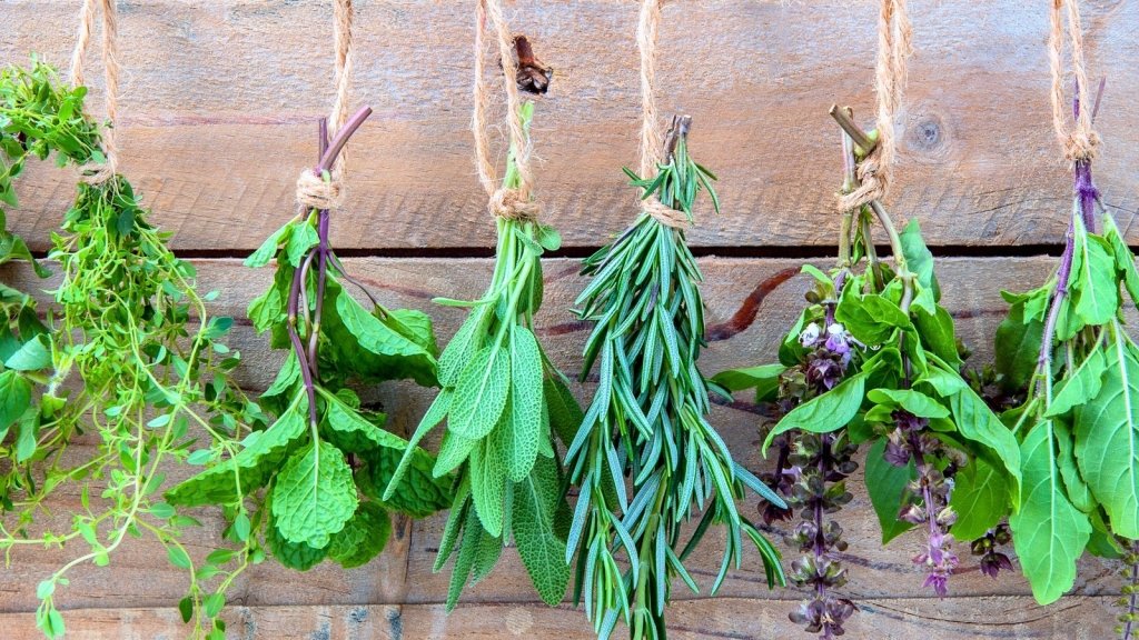Harvesting, Drying and Storing Herbs: Making the Summer Flush Last All Year - Happy Valley Seeds