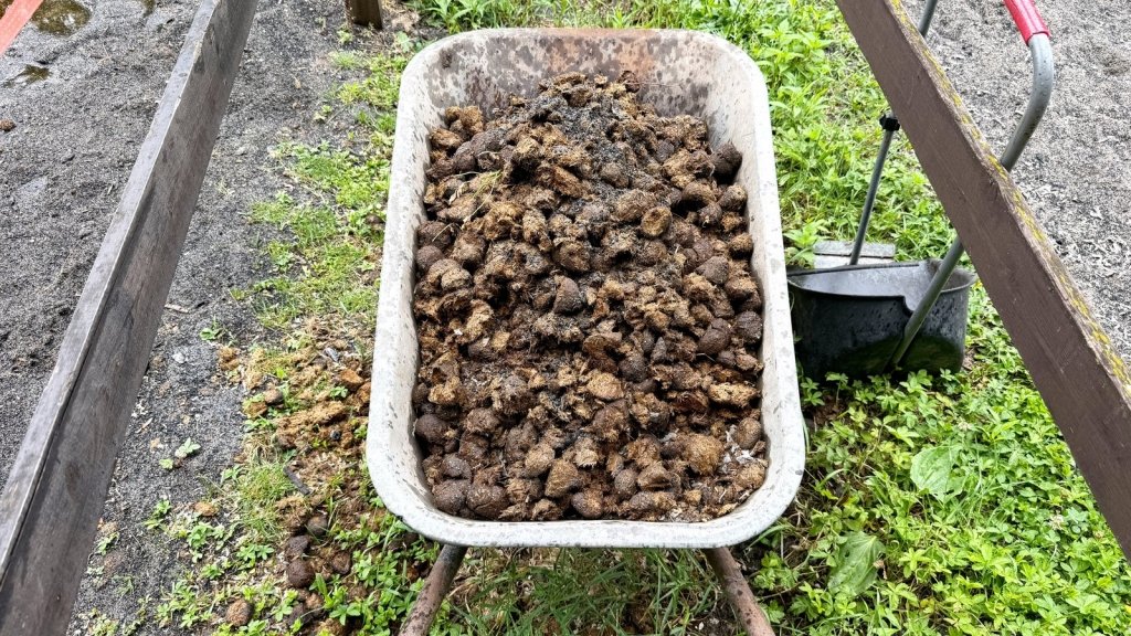 Herbicide Residue in Manure, Straw and Bought Compost - Happy Valley Seeds