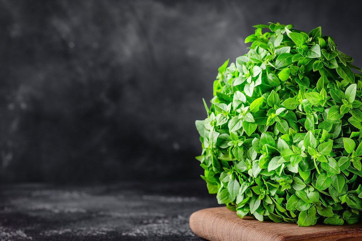 A dome of fresh green basil on a wooden board
