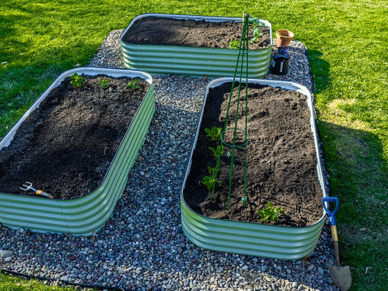 A firewise vegetable garden: growing food on a bushfire-prone block