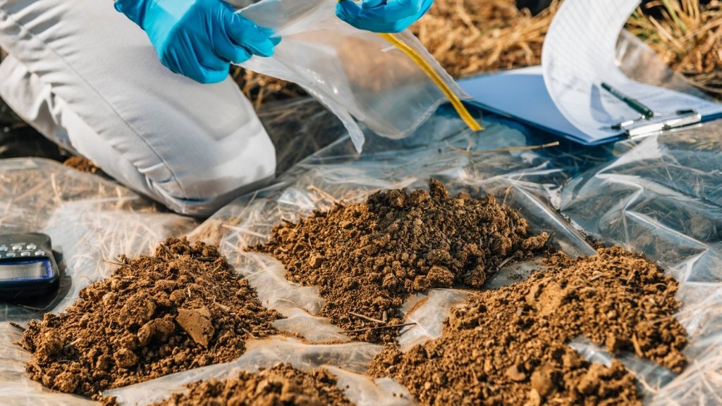 Is My Soil Safe to Grow Food In? Lead and Other Backyard Contaminants - Happy Valley Seeds