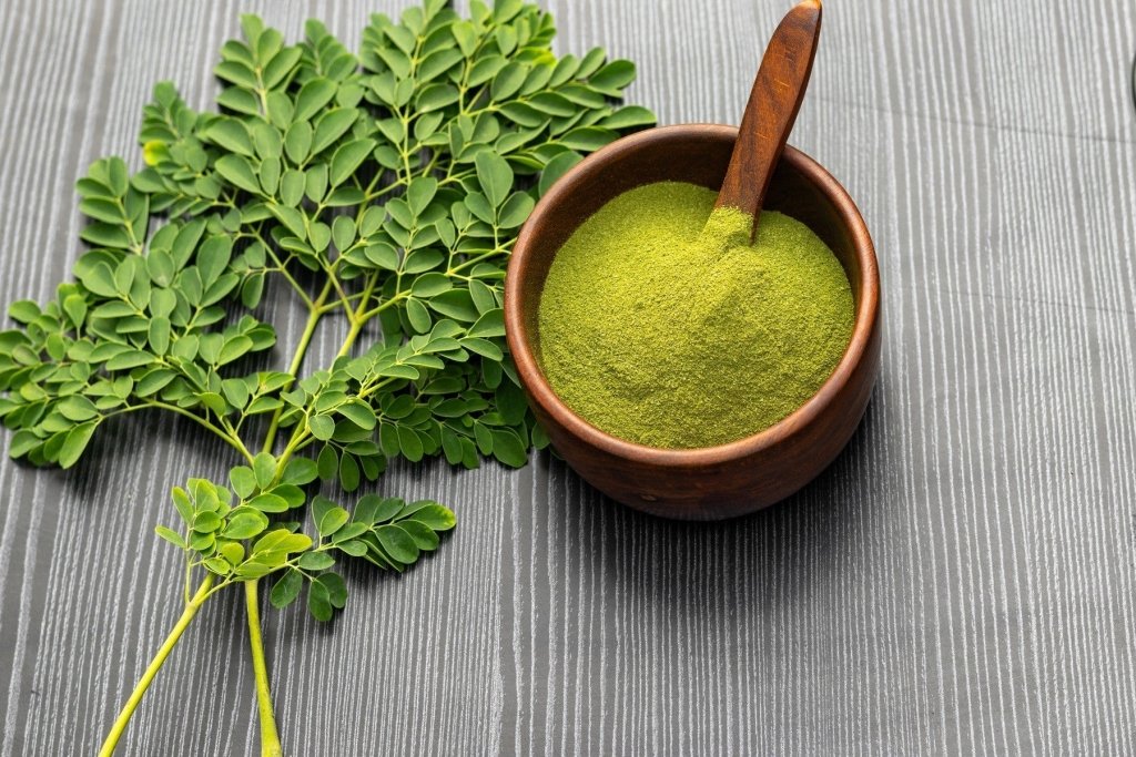 Moringa in Australia: What Nobody Tells You - Happy Valley Seeds