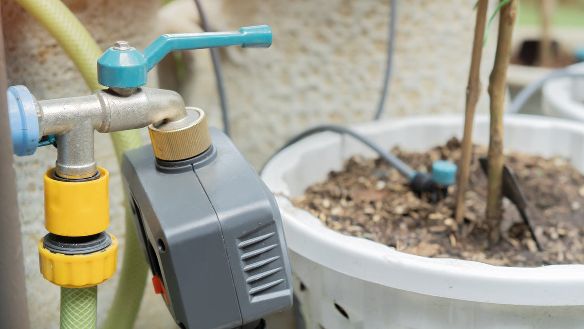 A battery tap timer fitted to an outdoor tap with a hose, beside a potted plant