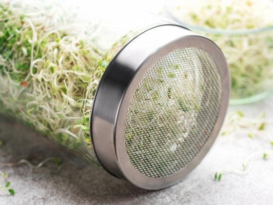 Sprout Problems and Safety: Smell, Slime, Mould and When to Bin the Jar
