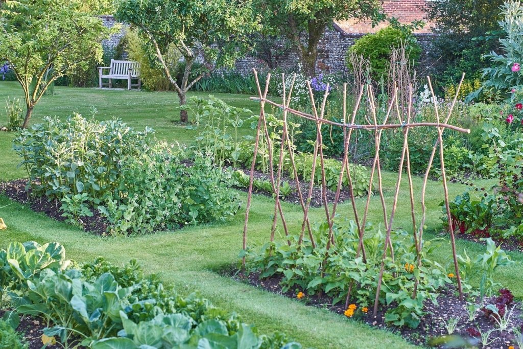 Working with garden microclimates: sun, shade, wind and frost - Happy Valley Seeds