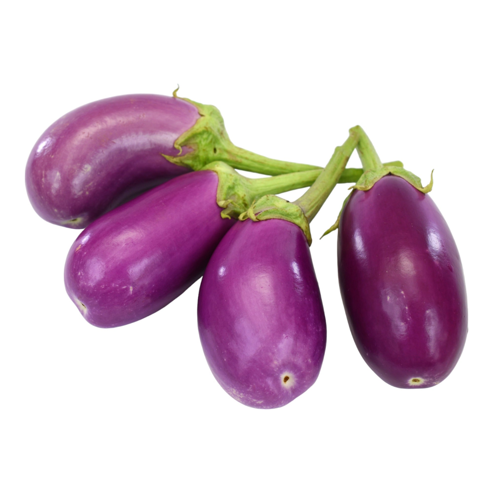 Buy Eggplant Rosalina F1 seeds Online Happy Valley Seeds