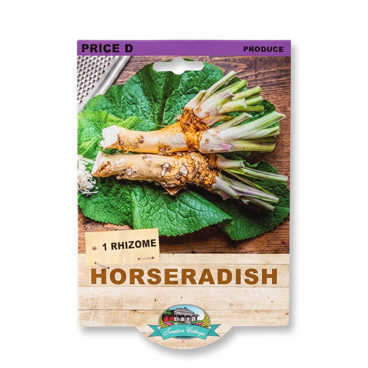 Horseradish Rhizome