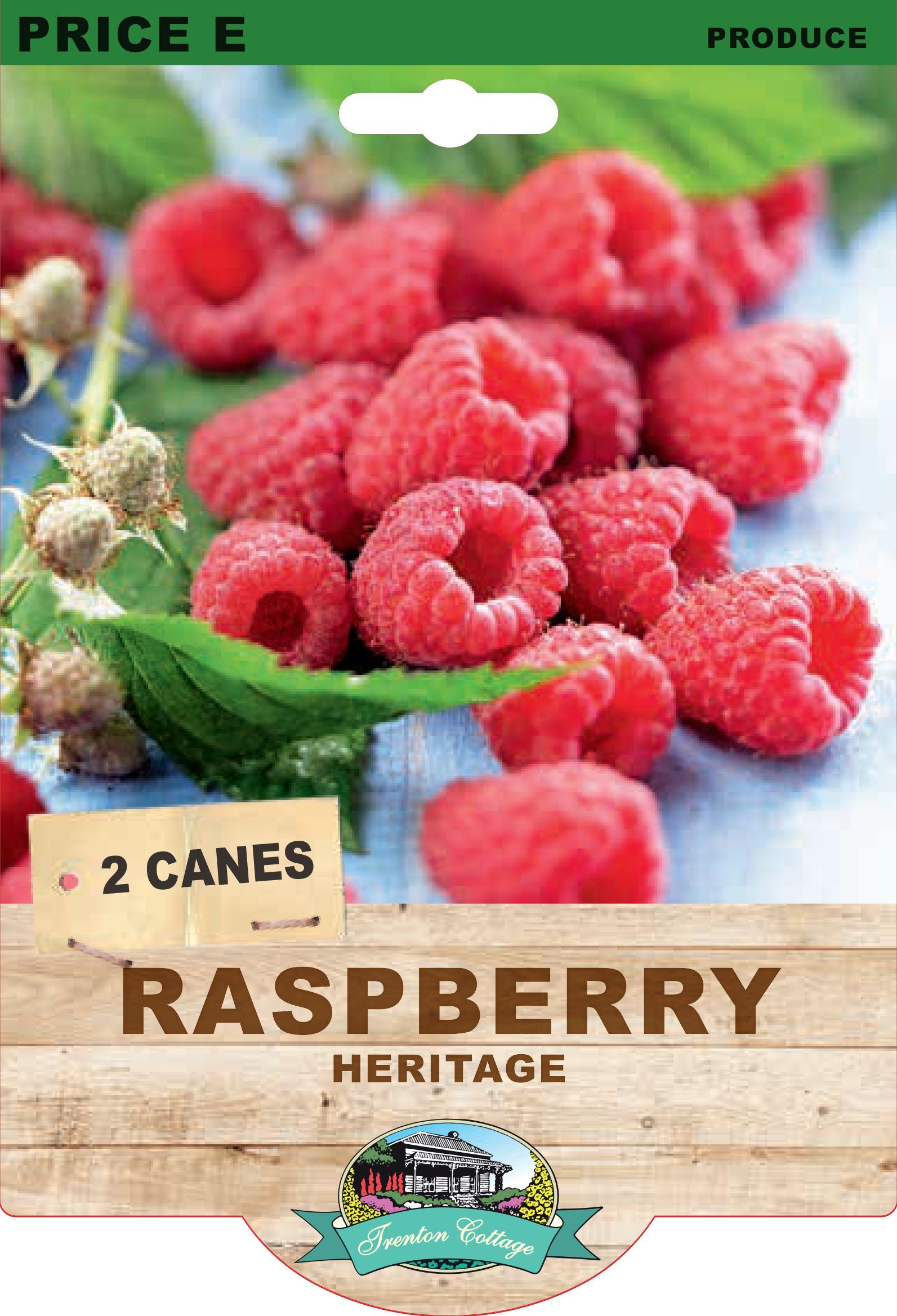 Raspberry - Heritage (Pack of 2 Canes) (TC)