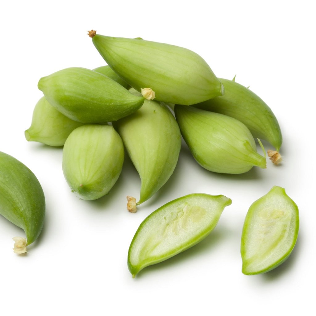 Achocha (Slipper Gourd) seeds - Happy Valley Seeds