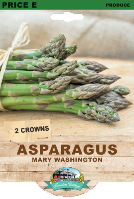 Asparagus Mary Washington Crown (TC) - Happy Valley Seeds