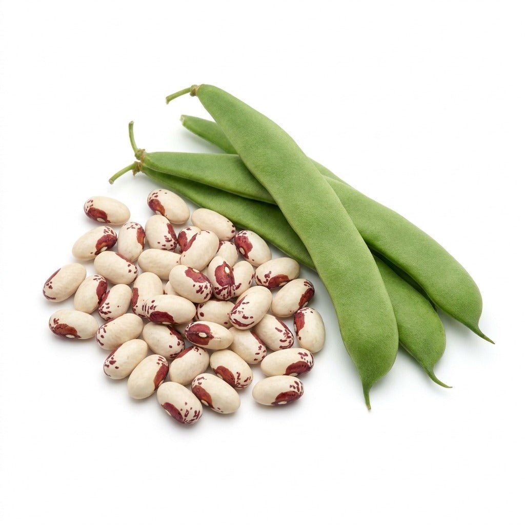 Bean - Frost seeds (Organic) - Happy Valley Seeds