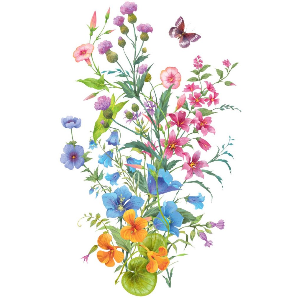 Butterfly Wildflower Mix seeds - Happy Valley Seeds
