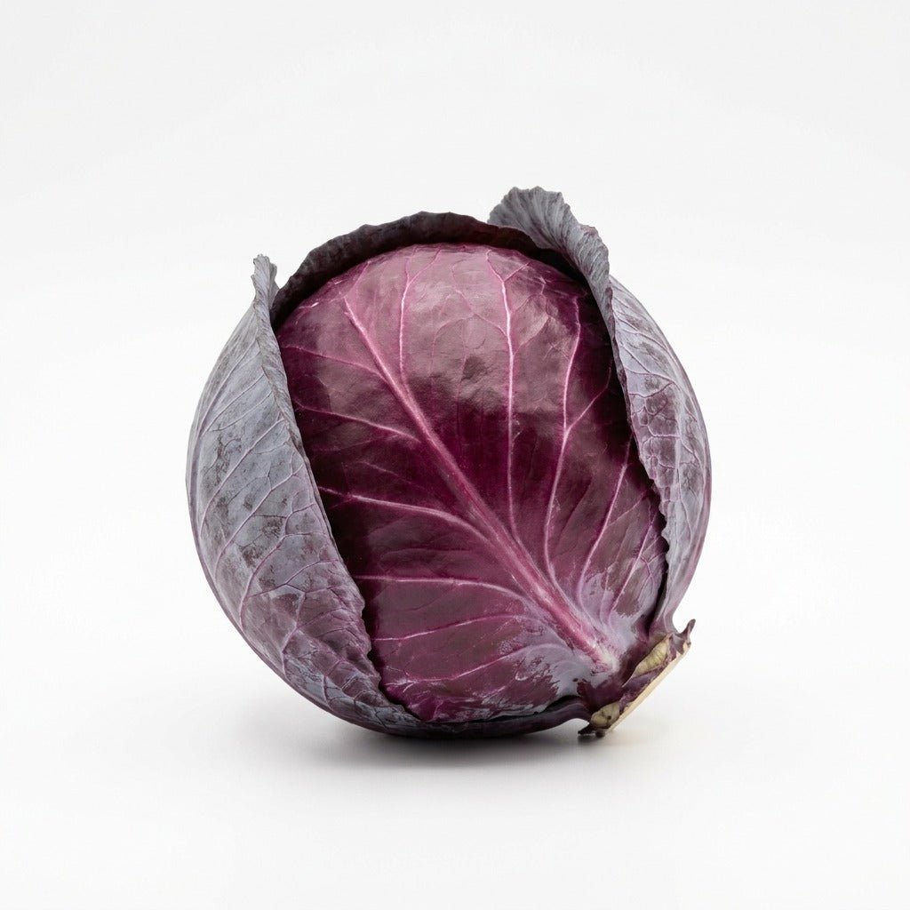 Cabbage - Red Acre seeds (Organic) - Happy Valley Seeds