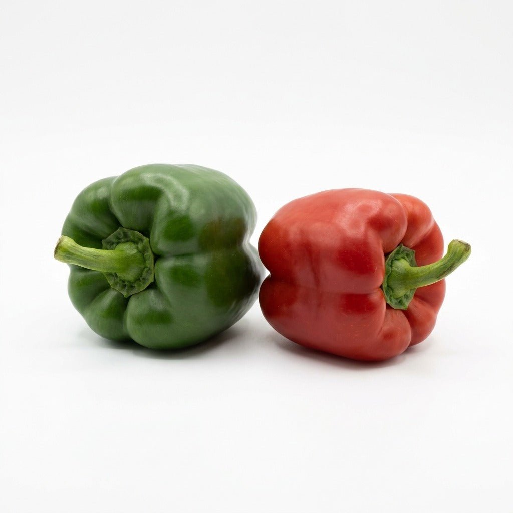 Capsicum - Californian Wonder seeds (Organic) - Happy Valley Seeds