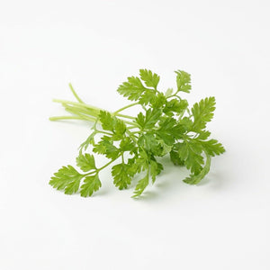 Chervil - Curled seeds (Organic)