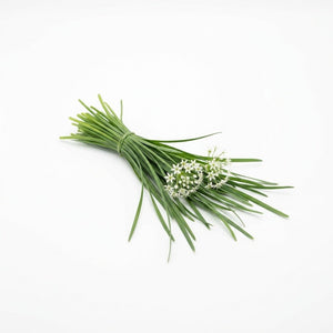 Chives - Garlic seeds (Organic)