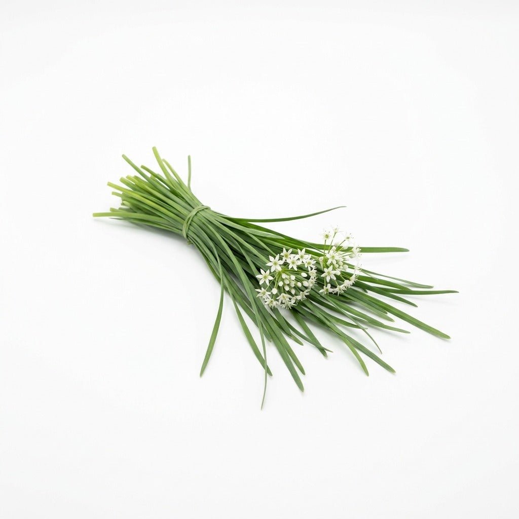 Chives - Garlic seeds (Organic) - Happy Valley Seeds