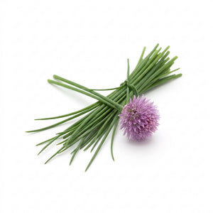 Chives - Standard seeds (Organic)