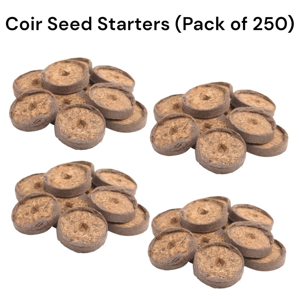 Coir Seed Starters (Pack of 250) - Happy Valley Seeds