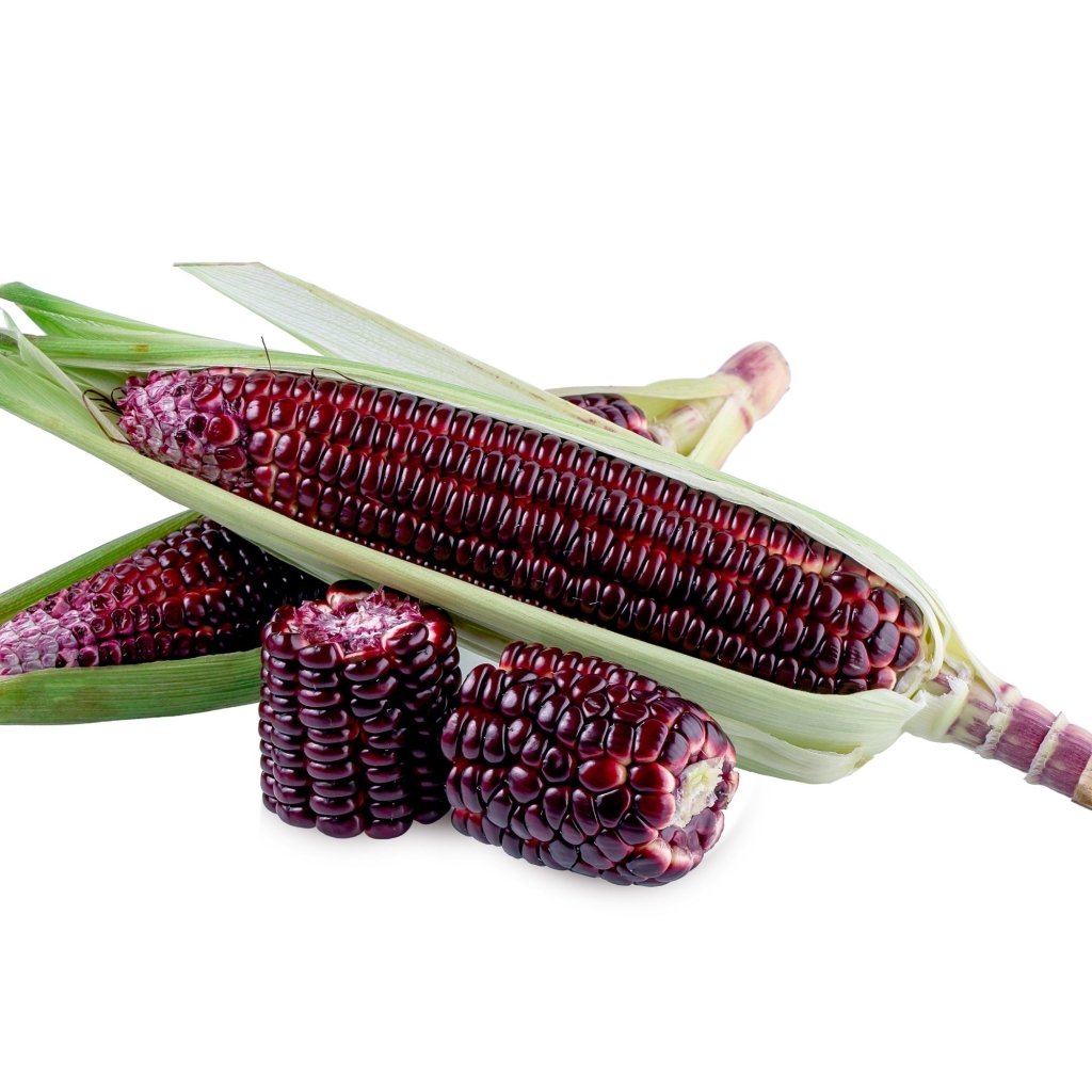 Corn - Popcorn Mini Strawberry seeds - Happy Valley Seeds