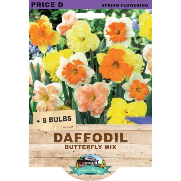 Daffodil Butterfly Mixed (Pack of 8 Bulbs) - Happy Valley Seeds