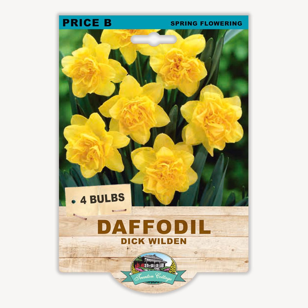 Daffodil Dick Wilden (Pack of 4 Bulbs) - Happy Valley Seeds