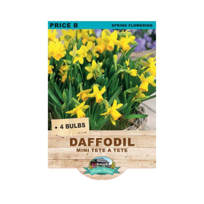 Daffodil Mini Tete A Tete (Pack of 4 Bulbs) - Happy Valley Seeds
