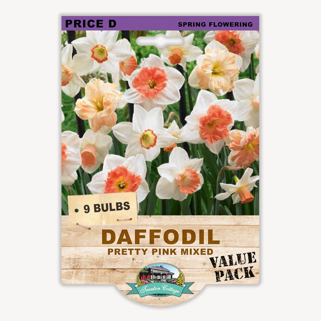 Daffodil Preety Pink Mixed (Pack of 9 Bulbs) - Happy Valley Seeds