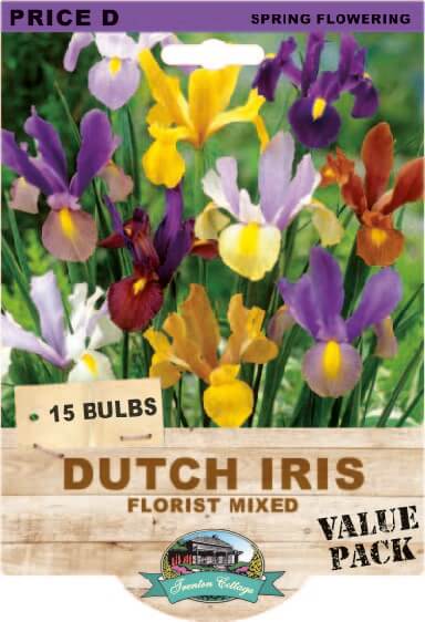Dutch Iris Florist Mixed (Pack of 15 Bulbs) - Happy Valley Seeds