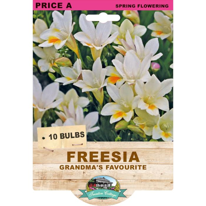 Freesia Grandma's Favourites (Pack of 10 Bulbs) - Happy Valley Seeds