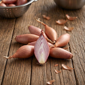 French Echalion (Banana Shallot) Bulbs