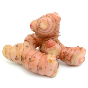 Galangal Lesser Rhizome