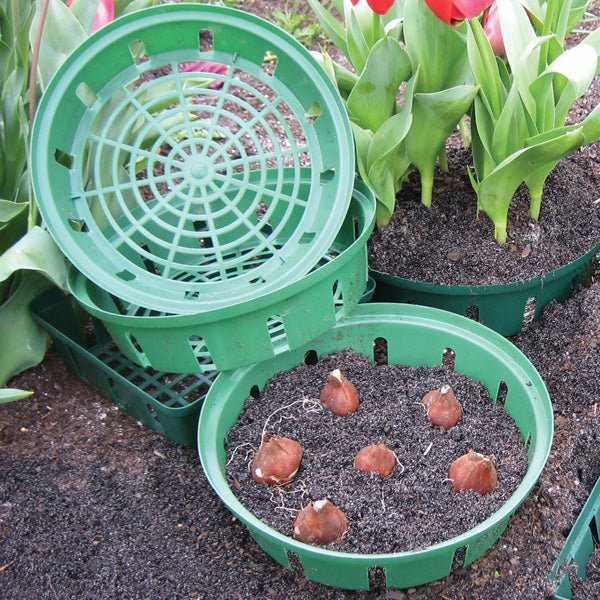 Gardeners Advantage - Basket Round 26cm (Pack of 3) - Happy Valley Seeds