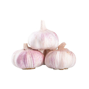 Garlic - Kenlarge Bulbs