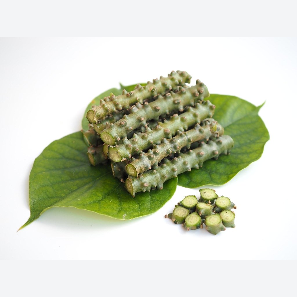 Giloy (Guduchi) Vine Cuttings - Happy Valley Seeds