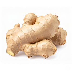 Ginger Rhizome