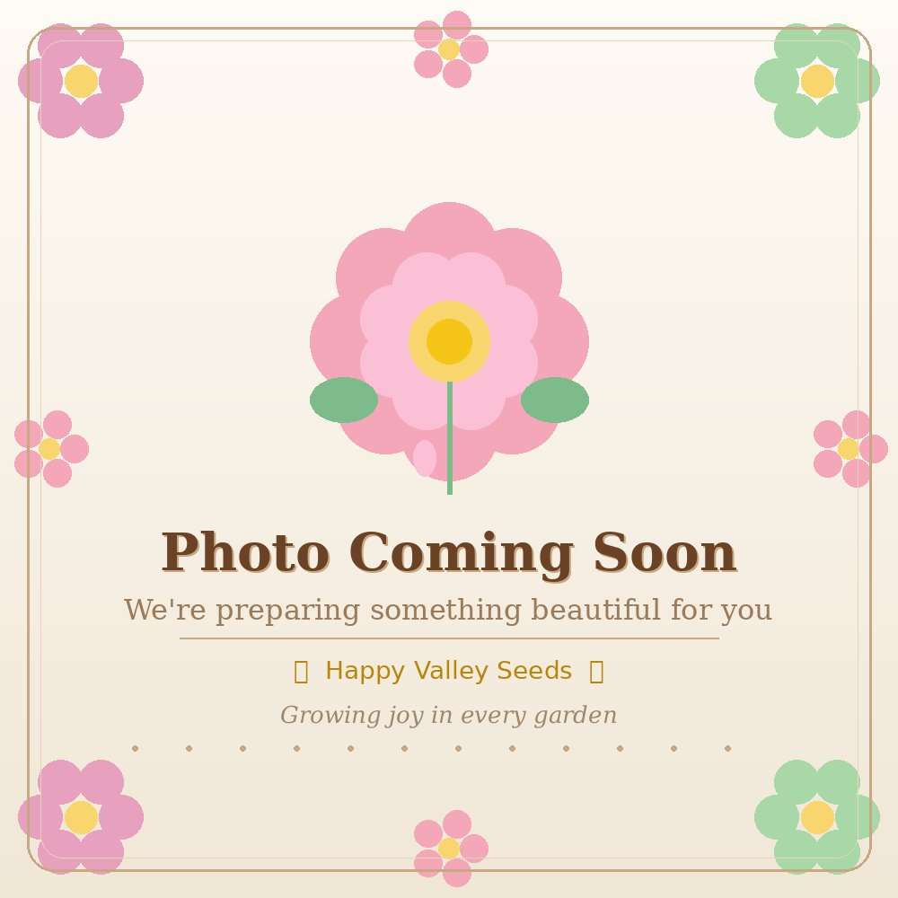 Grab Bag - Tulip Potting Mixed (Pack of 20 Bulbs) - Happy Valley Seeds