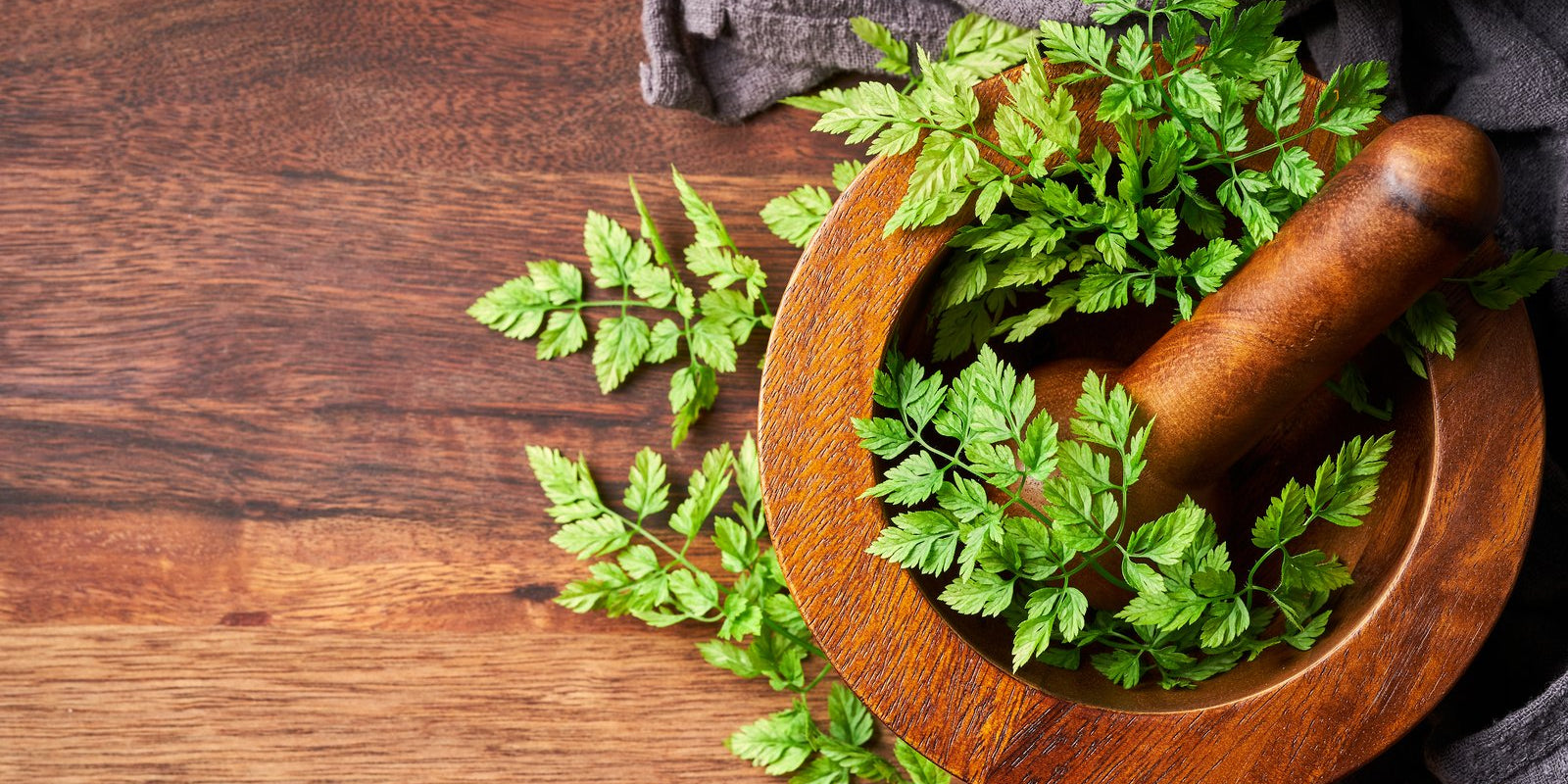 How to Grow Chervil in Australia