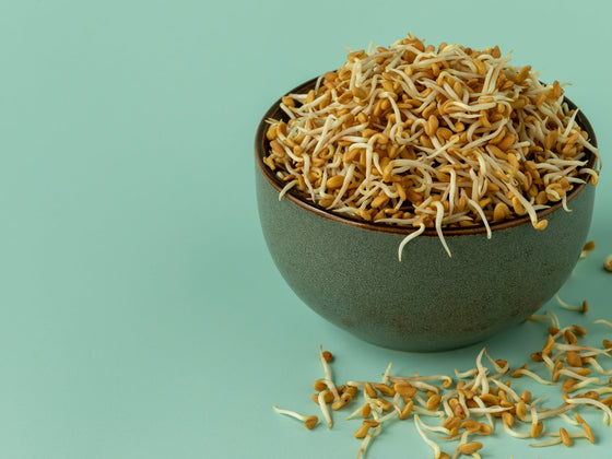 Fenugreek Sprouts