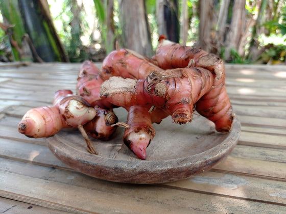 Galangal