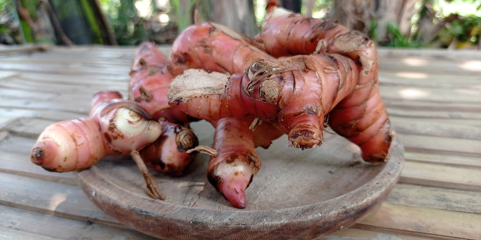 How to Grow Galangal in Australia