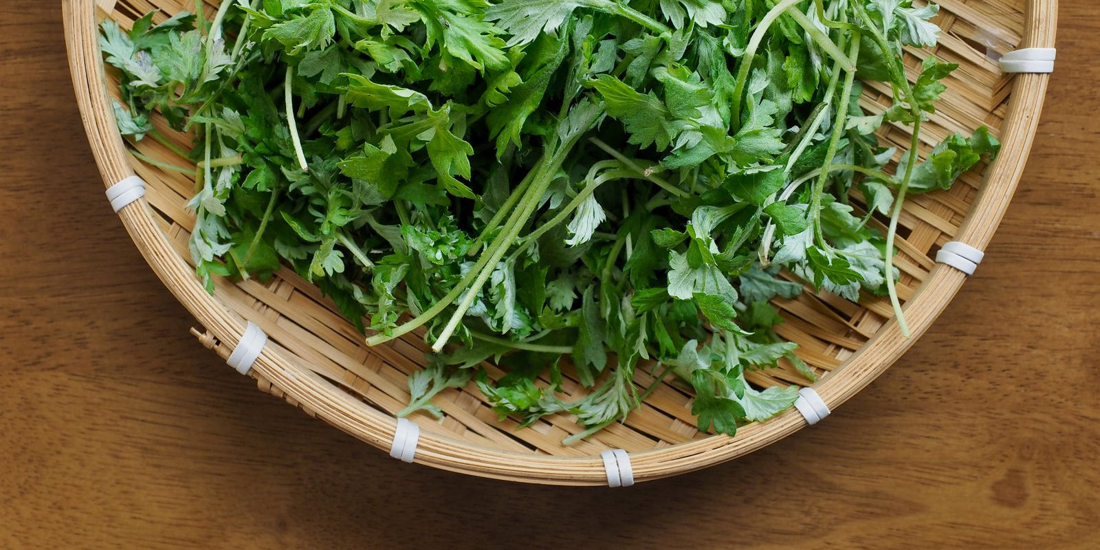 How to Grow Mugwort in Australia