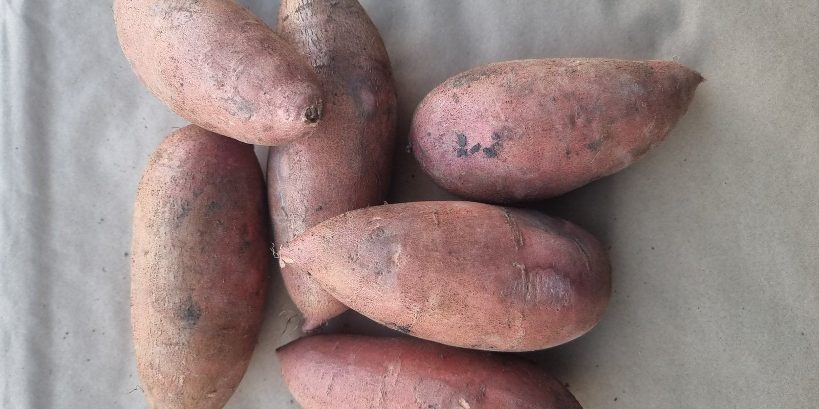 How to Grow Sweet Potatoes in Australia